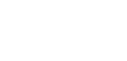 Niagara Vision